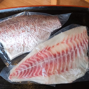南紀串本よしだ真鯛　フィレ　冷凍