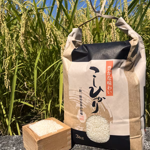 令和7年・高知県いの町産　新米コシヒカリ(精米)３㎏
