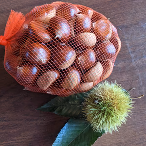 小布施産Sサイズ栗　小さめでも旨味たっぷり！！クール便