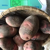 信州産 グラウンドペチカ　じゃがいも
