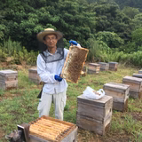 井上浩子 | 永田養蜂