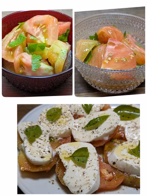 みんなの投稿の画像