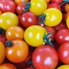 【送料お得‼︎】ミニトマト２キロ＋中玉トマト２キロ