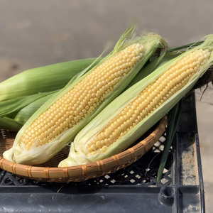 《北海道産》採れたて！とうもろこし6本(L.2L混合)