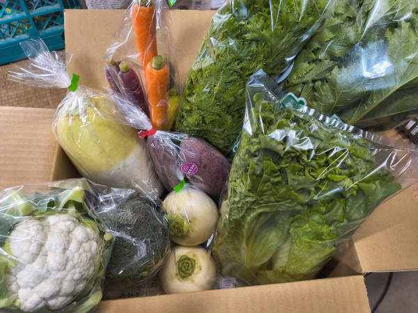 感謝価格　能登野菜　冬バージョン