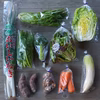 朝晩の寒さで甘さの乗ってきた採れたてお野菜セット（10品目）