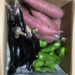 黒ボク土で育った野菜セット(ピーマン、ナスビ、サツマイモ)