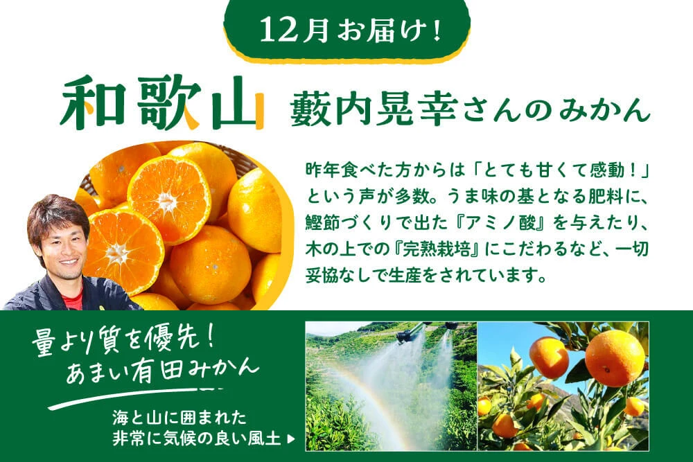 3大生産地×人気生産者「みかん食べ比べ定期便」