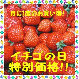 イチゴの日特別価格！　あまおう　2パック入り　約1,000ｇ