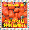 イチゴの日特別価格！　あまおう　2パック入り　約1,000ｇ
