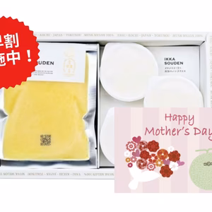 今だけ早割価格【母の日ギフト】マスクメロンのピューレ3袋と高知のバニラアイス3個