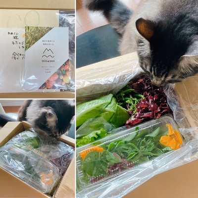 みんなの投稿の画像