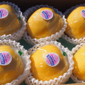 【糖度14度以上】りんご はるかスタンダード 2kg3kg【冬ギフト】蔵王はるか