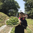 荒井良明