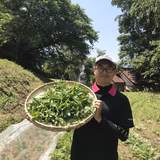 荒井良明
