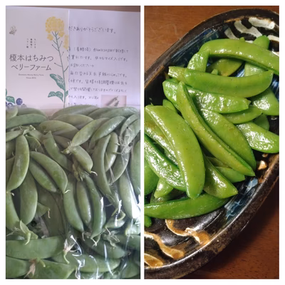 みんなの投稿の画像