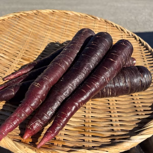 無農薬⭐︎無化学肥料⭐︎無除草剤⭐︎カラフル人参
