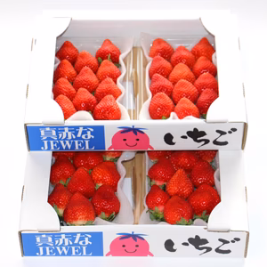 完熟あまおう！「福岡産いちご」デラックス級（4パック）
