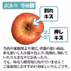 【りんご福袋】 訳ありサンふじ 約3キロ 6〜15玉 3種のりんごジュース りん