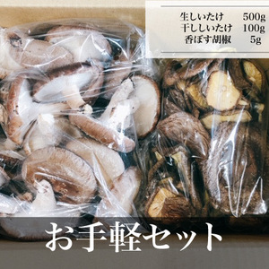 お手軽セット　断然お買い得！期間限定値下げ　生しいたけ+干ししいたけ＋おまけ　