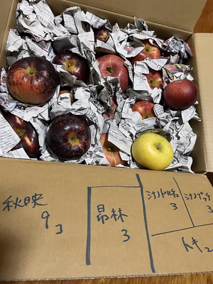 みんなの投稿の画像