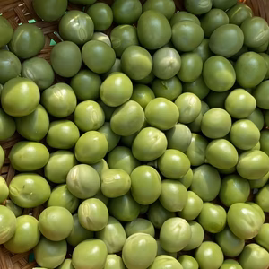 熟成した　豆のみ　グリーンピース　5月20日までの期間限定品