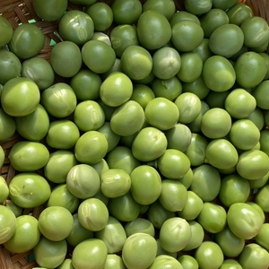 熟成した　豆のみ　グリーンピース　5月20日までの期間限定品
