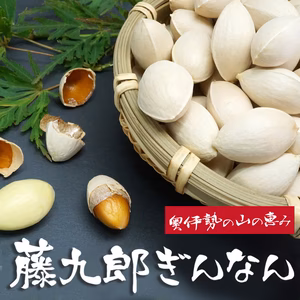 2024年大粒ぎんなん3L 藤九郎500g予約開始!! ふっくらもちもち!