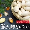 2025年大粒ぎんなん3L 藤九郎500g予約開始!! ふっくらもちもち!
