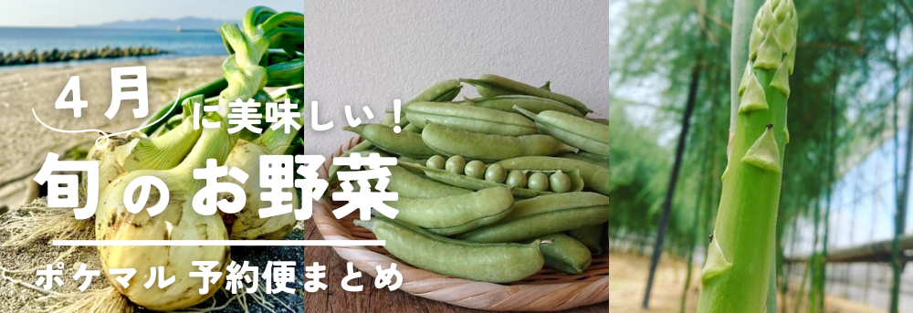 激安大特価！ 4種類 野菜セット品 長ネギ 脇芽葉付きブロッコリー トマト 野菜