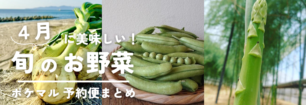 4月の旬のお野菜