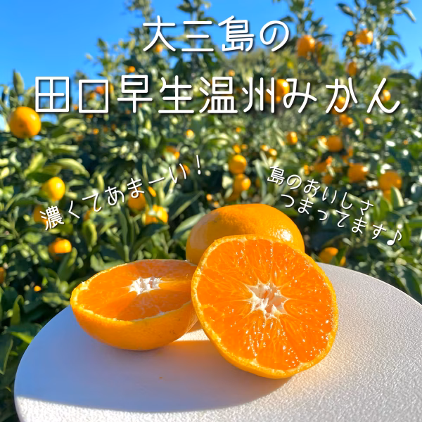 【島の恵み！高糖度☆】早生温州みかん[愛媛県・大三島産・田口早生]