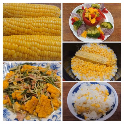 みんなの投稿の画像