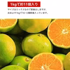 月末まで割引 甘い有田みかん【和歌山の極早生】由良早生  蜜柑 ミカン 送料無料