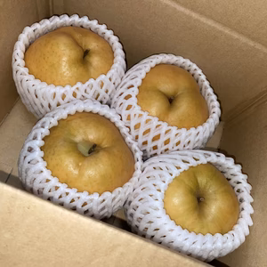 果汁たっぷり！じゅわじゅわー！！愛宕梨（1.5kg）