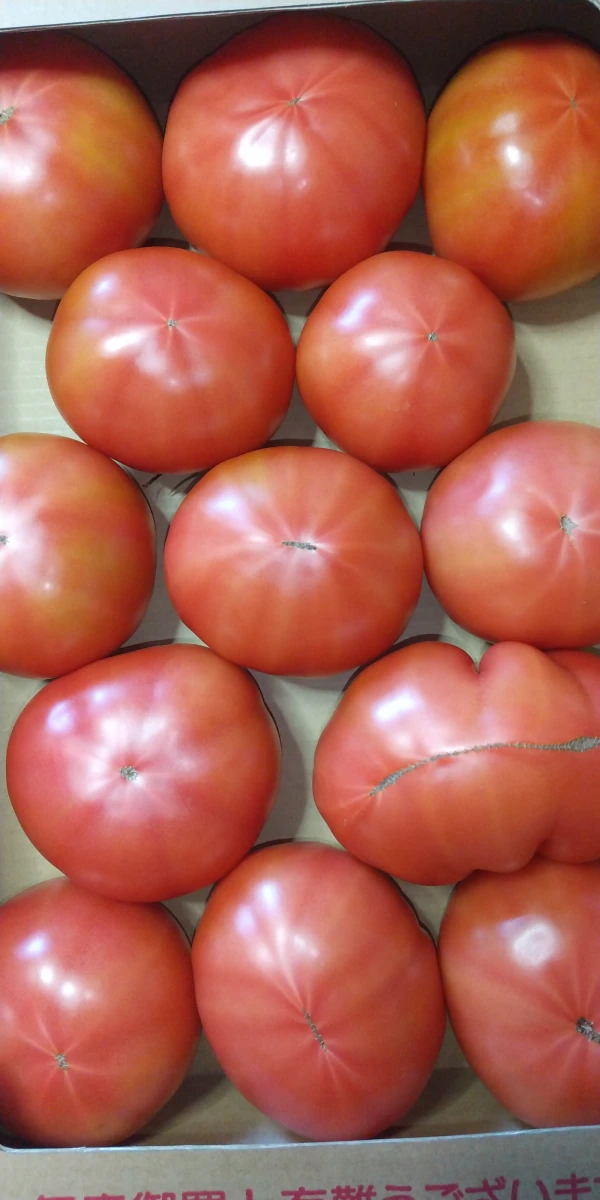 この時期だけ！超大玉トマト。３Ｌ、４Ｌの大玉。重量比は、かなりお得です。
