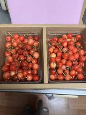 みんなの投稿の画像