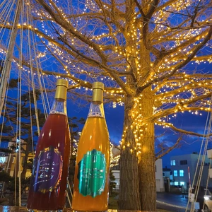 クリスマスは贅沢にこれで決まり！カワイのブドウジュース2本セット