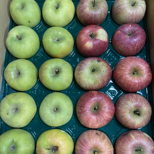 幻のりんご青林+樹上完熟蜜入り葉取らずサンふじ訳あり合計5キロ1825