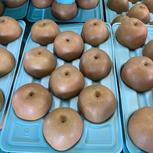 豊水梨　5Lサイズ（写真参照）