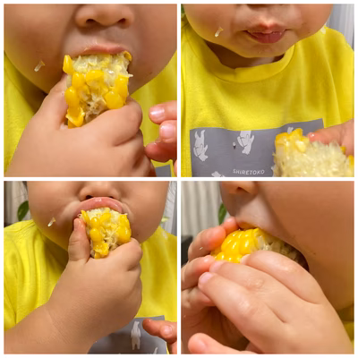 みんなの投稿の画像