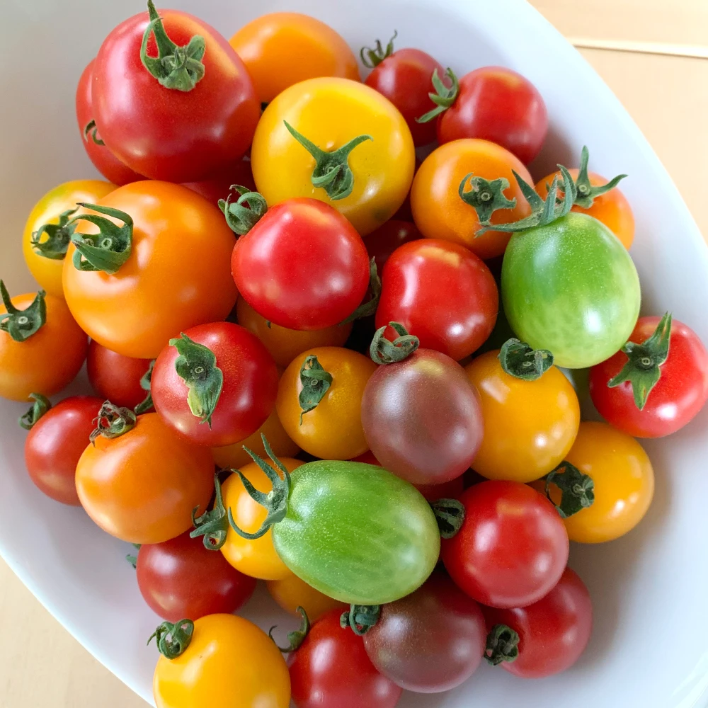 旬の夏野菜セット【農薬・化学肥料不使用】カラフル野菜の詰め合わせセット