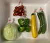 肥料・農薬不使用 季節の野菜おまかせセット