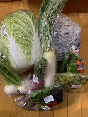 みんなの投稿の画像