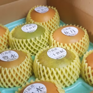 ３箱限定　和梨４種食べ比べ（L玉）　３Kg８玉