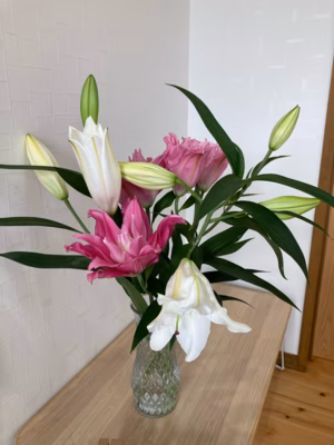 みんなの投稿の画像