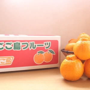 ＜家庭用＞清見オレンジ4.5kg~9kg　★不知火は完売！