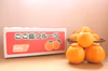 ＜家庭用＞清見オレンジ4.5kg~9kg　★不知火は完売！