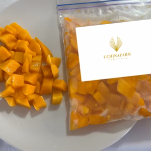 沖縄県産 〈冷凍カットマンゴー〉フローズンマンゴー 1Kg