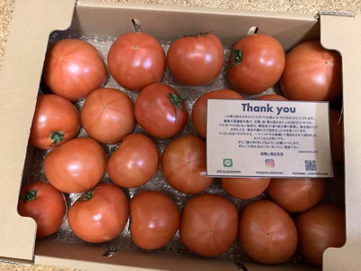 みんなの投稿の画像